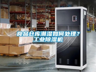 常見問題食品倉庫潮濕如何處理？工業除濕機