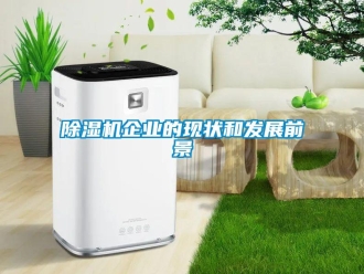 常見問題除濕機企業的現狀和發展前景