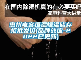 知識百科惠州電容恒溫恒濕儲存柜批發(fā)價(品牌效應(yīng)-2022已更新)