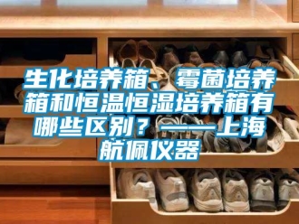 知識百科生化培養箱、霉菌培養箱和恒溫恒濕培養箱有哪些區別？——上海航佩儀器
