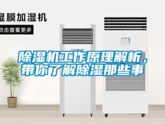 常見問題除濕機工作原理解析，帶你了解除濕那些事
