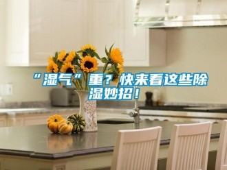 常見問題“濕氣”重？快來看這些除濕妙招！