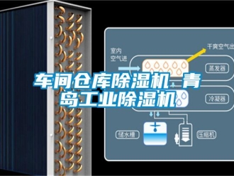 常見問題車間倉庫除濕機 青島工業除濕機