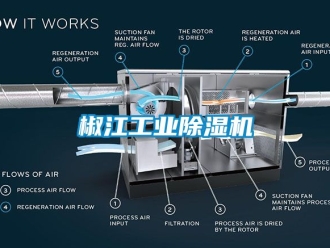 常見問題椒江工業除濕機