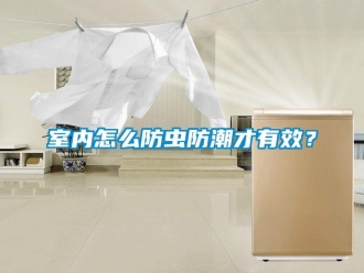 常見(jiàn)問(wèn)題室內(nèi)怎么防蟲(chóng)防潮才有效？
