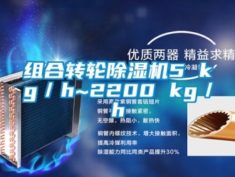 常見問題組合轉(zhuǎn)輪除濕機(jī)5 kg／h~2200 kg／h