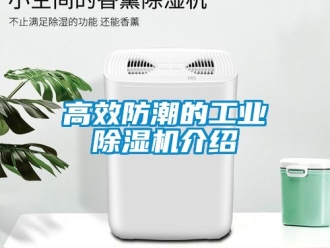 常見問(wèn)題高效防潮的工業(yè)除濕機(jī)介紹