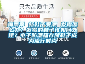 常見問題梅雨季 新鞋子受潮 發霉怎么辦？發霉的鞋子該如何處理？電子防潮箱存儲鞋子成為流行時尚