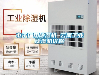 常見問題電子廠用除濕機 云南工業除濕機價格