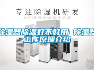 行業新聞除濕器除濕好不好用 除濕器工作原理介紹
