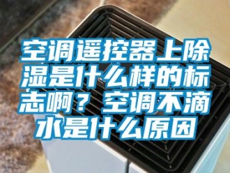 行業(yè)新聞空調(diào)遙控器上除濕是什么樣的標(biāo)志啊？空調(diào)不滴水是什么原因