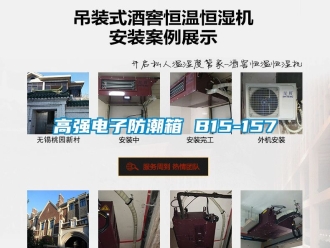 常見問(wèn)題高強(qiáng)電子防潮箱 B15-157