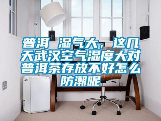 常見問題普洱 濕氣大，這幾天武漢空氣濕度大對普洱茶存放不好怎么防潮呢