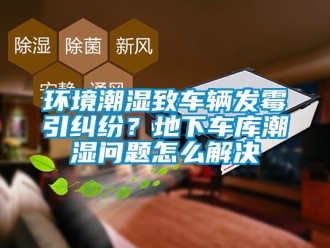 常見問題環境潮濕致車輛發霉引糾紛？地下車庫潮濕問題怎么解決