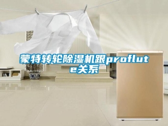常見問題蒙特轉(zhuǎn)輪除濕機跟proflute關(guān)系