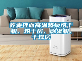 行業(yè)新聞蕎麥掛面高溫?zé)岜煤娓蓹C、烘干房、除濕機、干燥房