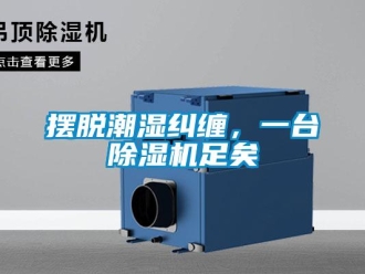 常見問題擺脫潮濕糾纏，一臺除濕機足矣