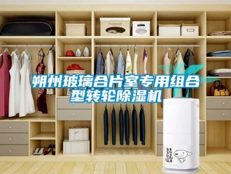 常見問題朔州玻璃合片室專用組合型轉輪除濕機