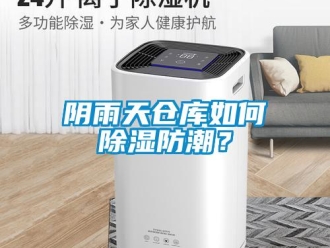 常見問題陰雨天倉庫如何除濕防潮？