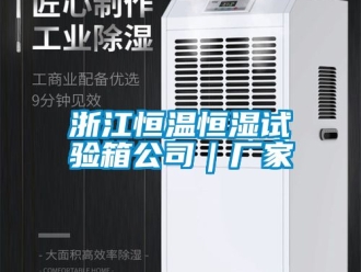 知識百科浙江恒溫恒濕試驗箱公司｜廠家