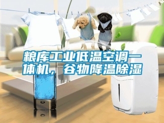 常見問題糧庫工業低溫空調一體機，谷物降溫除濕