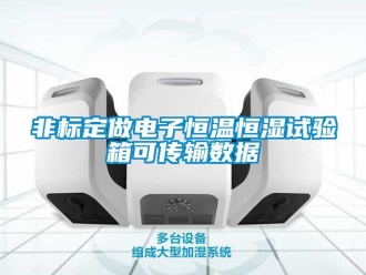 知識(shí)百科非標(biāo)定做電子恒溫恒濕試驗(yàn)箱可傳輸數(shù)據(jù)