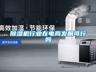 常見問題除濕機行業在電商發展可行嗎