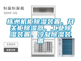常見問題株洲機柜除濕裝置、開關柜除濕器、工業除濕裝置、冷凝除濕裝置