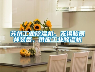 常見問題蘇州工業(yè)除濕機、無錫駿辰祥裝備、供應工業(yè)除濕機