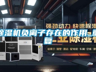 行業(yè)新聞除濕機(jī)負(fù)離子存在的作用_重復(fù)