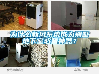知識(shí)百科為什么新風(fēng)系統(tǒng)成為別墅地下室必備神器？