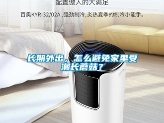常見問題長期外出，怎么避免家里受潮長蘑菇？