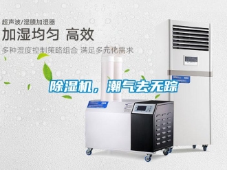 常見問題除濕機，潮氣去無蹤