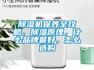 常見問題除濕機保養全攻略，除濕原理，什么品牌最好，怎么選購