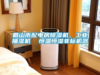 常見問題眉山市配電房除濕機，工業抽濕機  恒溫恒濕非標機器
