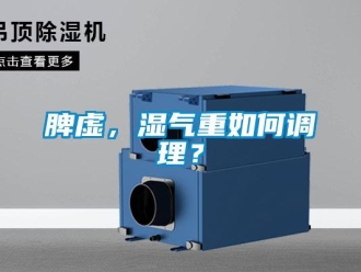 常見問題脾虛，濕氣重如何調理？