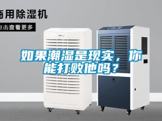 常見問(wèn)題如果潮濕是現(xiàn)實(shí)，你能打敗他嗎？