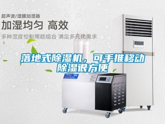 行業(yè)新聞落地式除濕機(jī)，可手推移動(dòng)除濕很方便