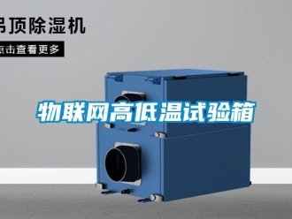 常見問題物聯網高低溫試驗箱