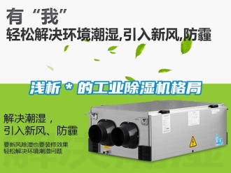常見問題淺析＊的工業除濕機格局