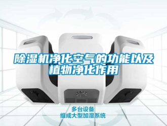 行業新聞除濕機凈化空氣的功能以及植物凈化作用