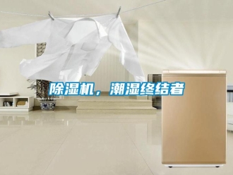常見問題除濕機，潮濕終結者