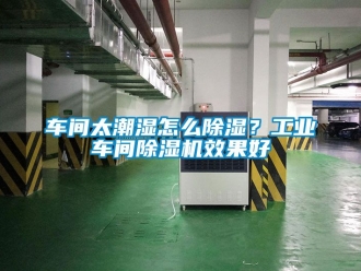 常見問題車間太潮濕怎么除濕？工業車間除濕機效果好