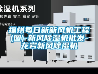 常見問題福州每日新新風機工程(圖)-新風除濕機批發(fā)-龍巖新風除濕機