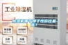 除濕機(jī)哪個牌子性價比最高？