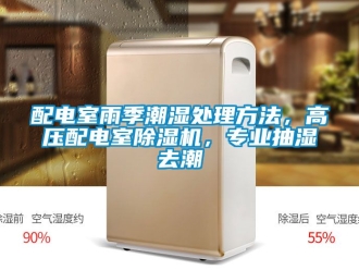 行業(yè)新聞配電室雨季潮濕處理方法，高壓配電室除濕機(jī)，專(zhuān)業(yè)抽濕去潮
