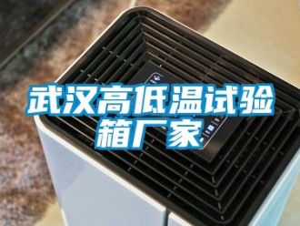 常見(jiàn)問(wèn)題武漢高低溫試驗(yàn)箱廠家