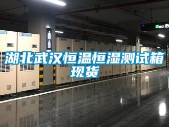 知識百科湖北武漢恒溫恒濕測試箱現(xiàn)貨