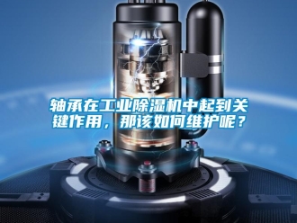 常見問題軸承在工業除濕機中起到關鍵作用，那該如何維護呢？