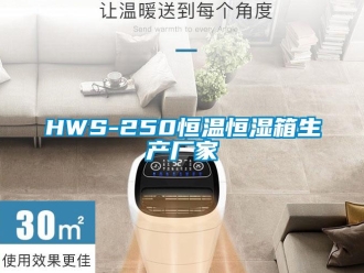 常見問題HWS-250恒溫恒濕箱生產廠家